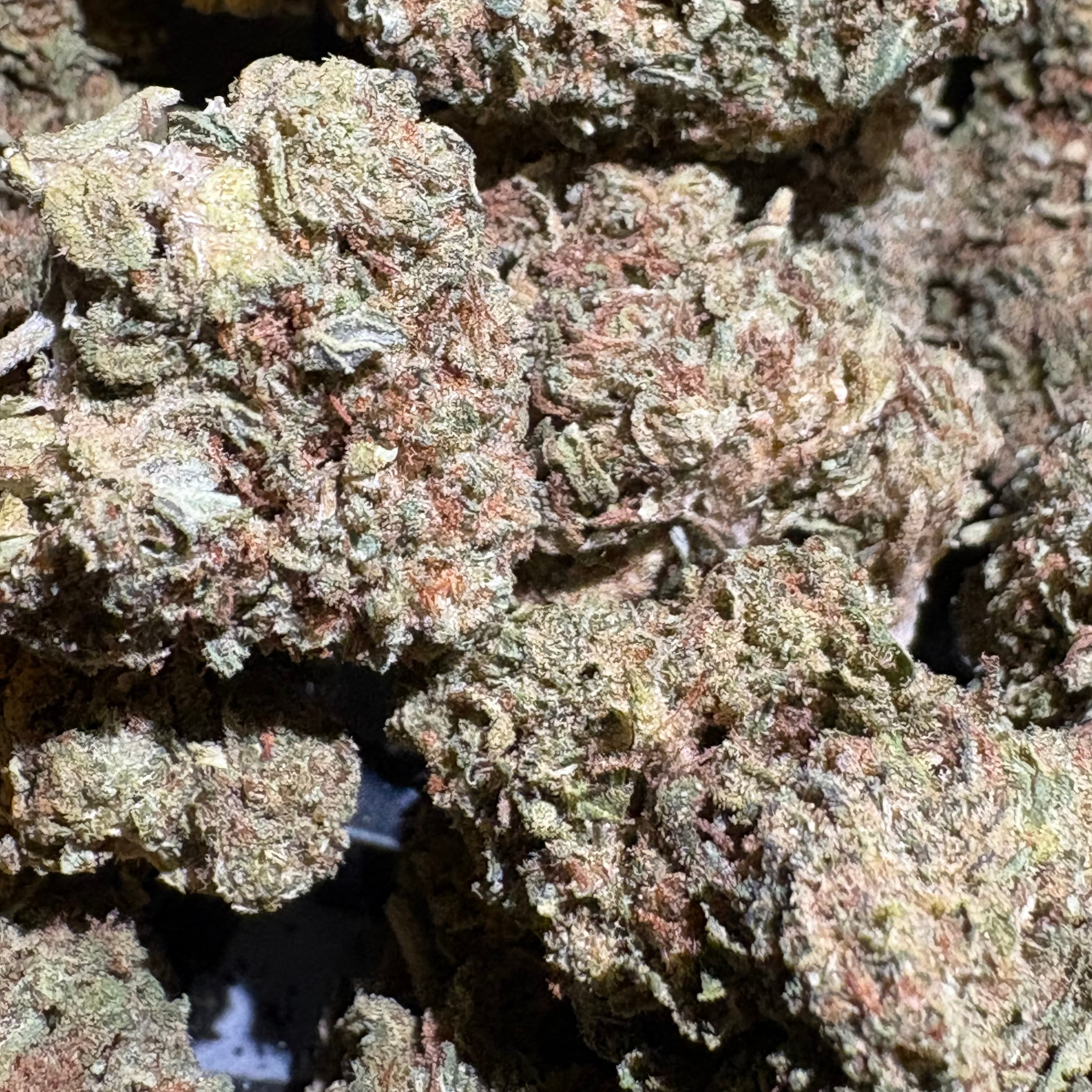 $45 Acapulco Gold 1oz 30% THC (Mid-Grade) - Sum Good - - $45 - Flowers