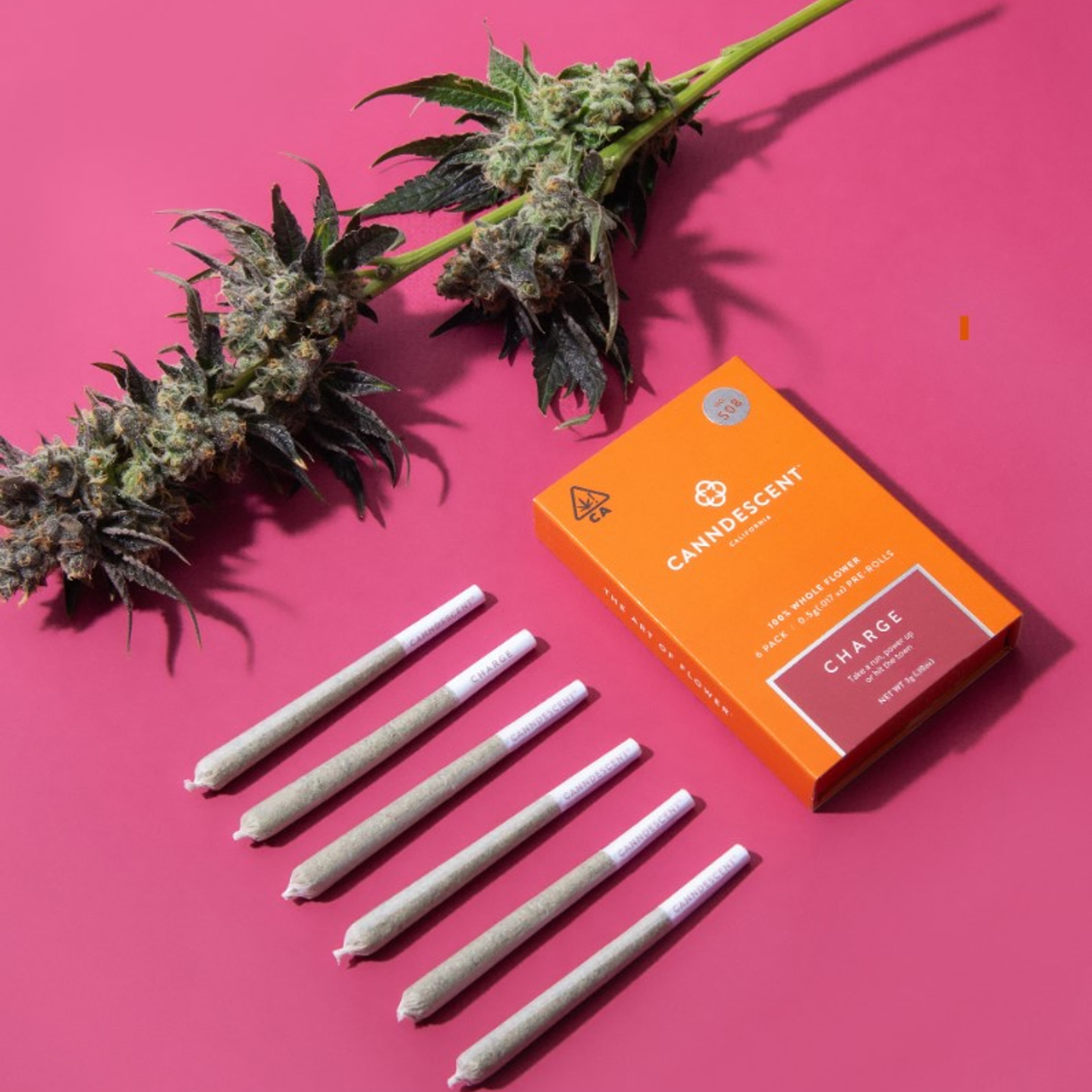 Charge Preroll Pack 3g - Canndescent - PR PK - $26 - Pre-Rolls