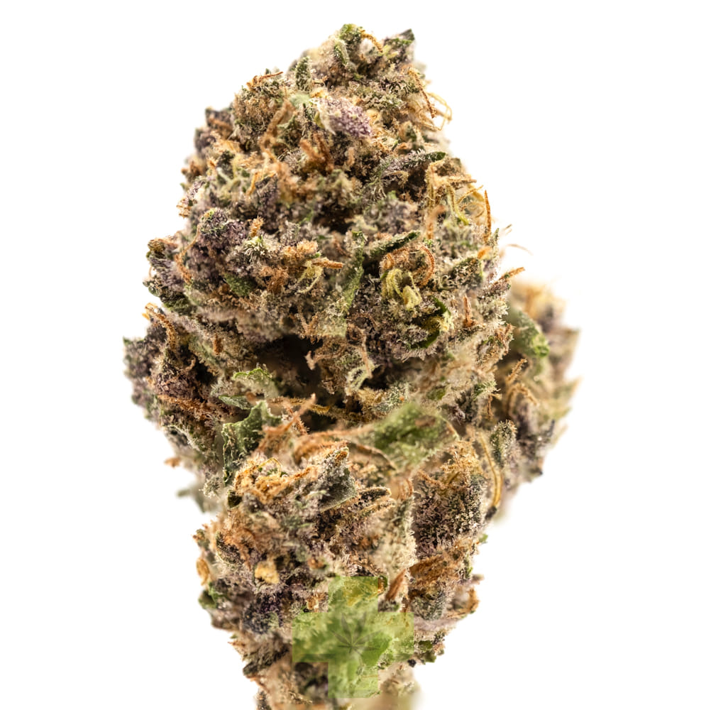 Sonoma Hills Farm — Pink Jesus, Sg