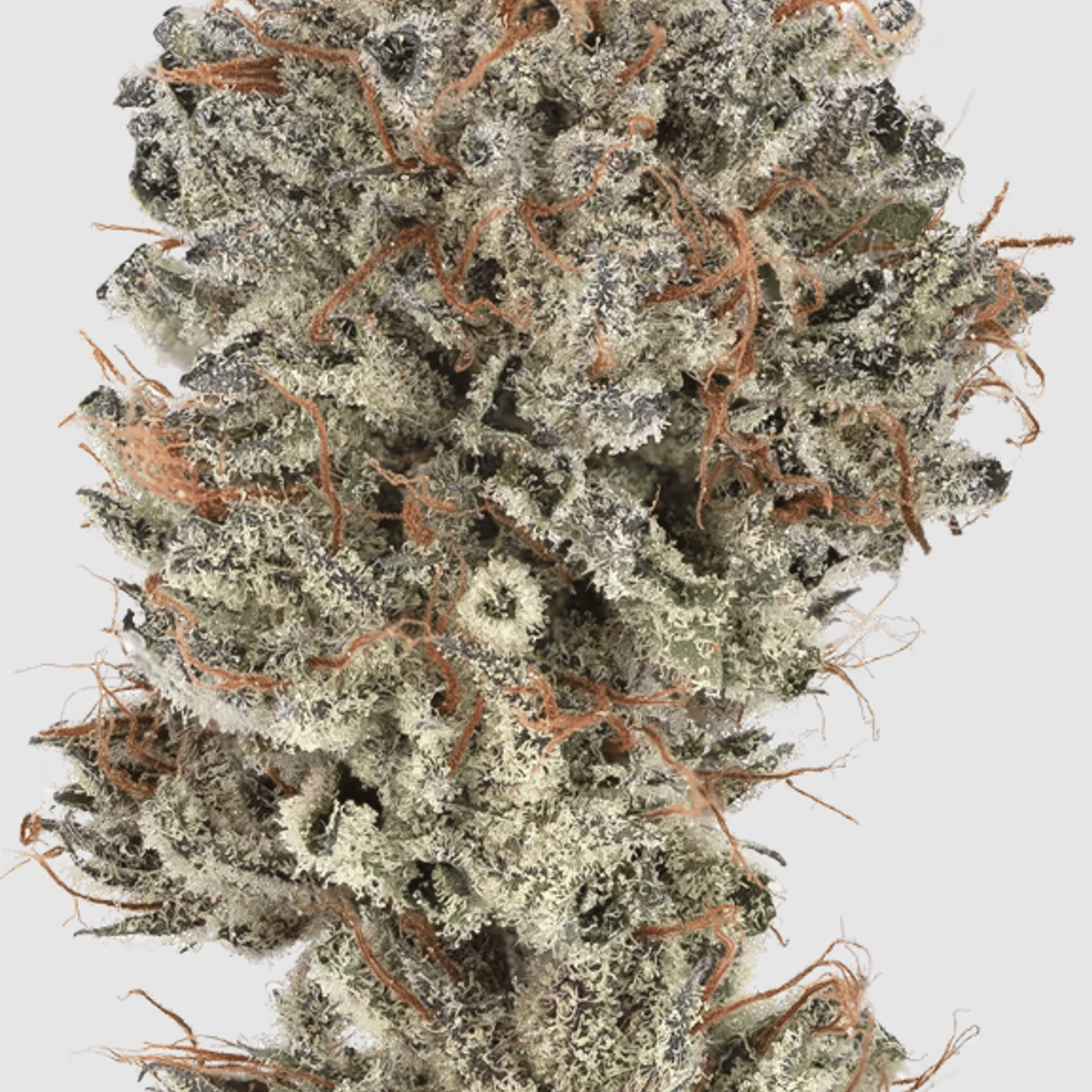 Bubba Kush - Flower - Heirbloom Legacy Flower - Eighth - $49.99 - Flower