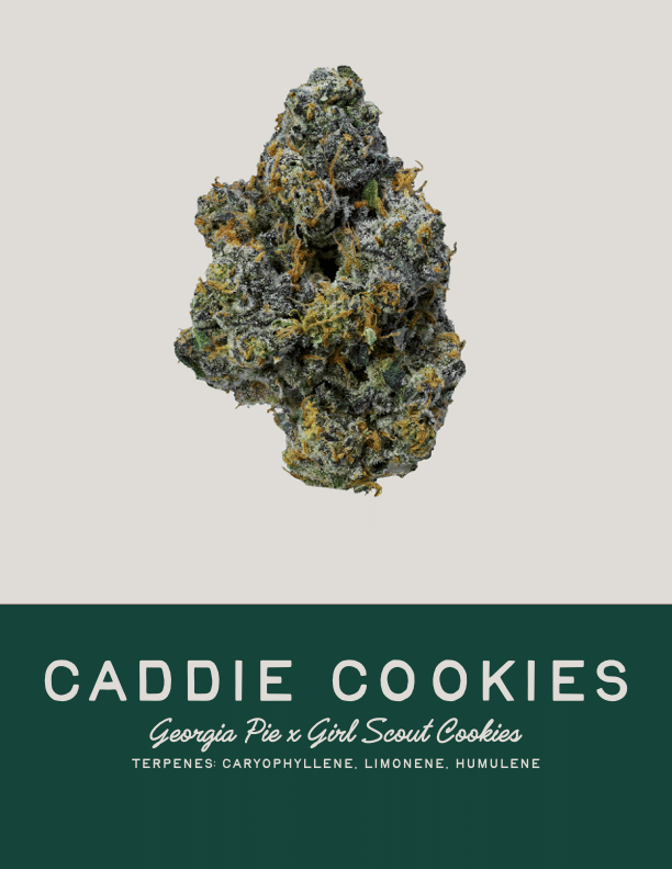 GREENS CREW — Caddie Cookies