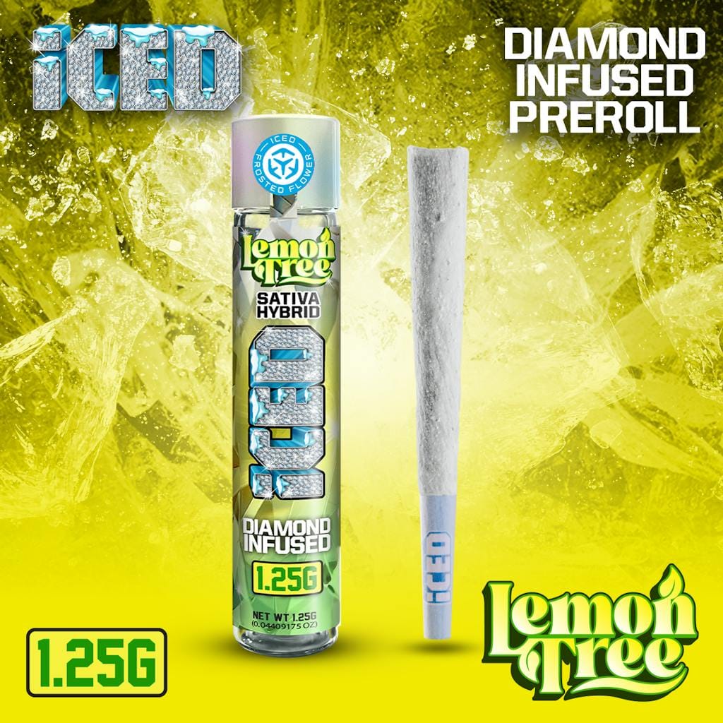 Lemon Tree - 1.25g Infused Preroll - ICED - Infused PR - Sativa - $14 - Infused Preroll