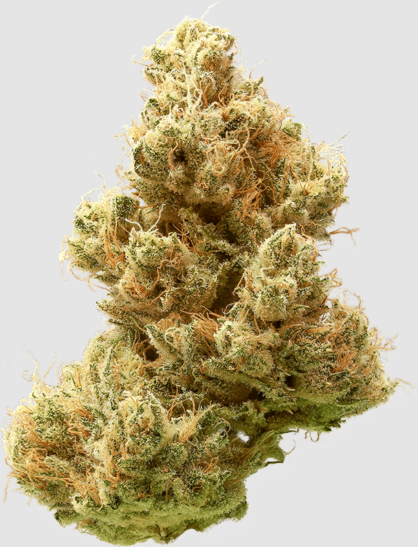 Banana OG - Flower - Heirbloom Legacy Flower - Eighth - $49.99 - Flower
