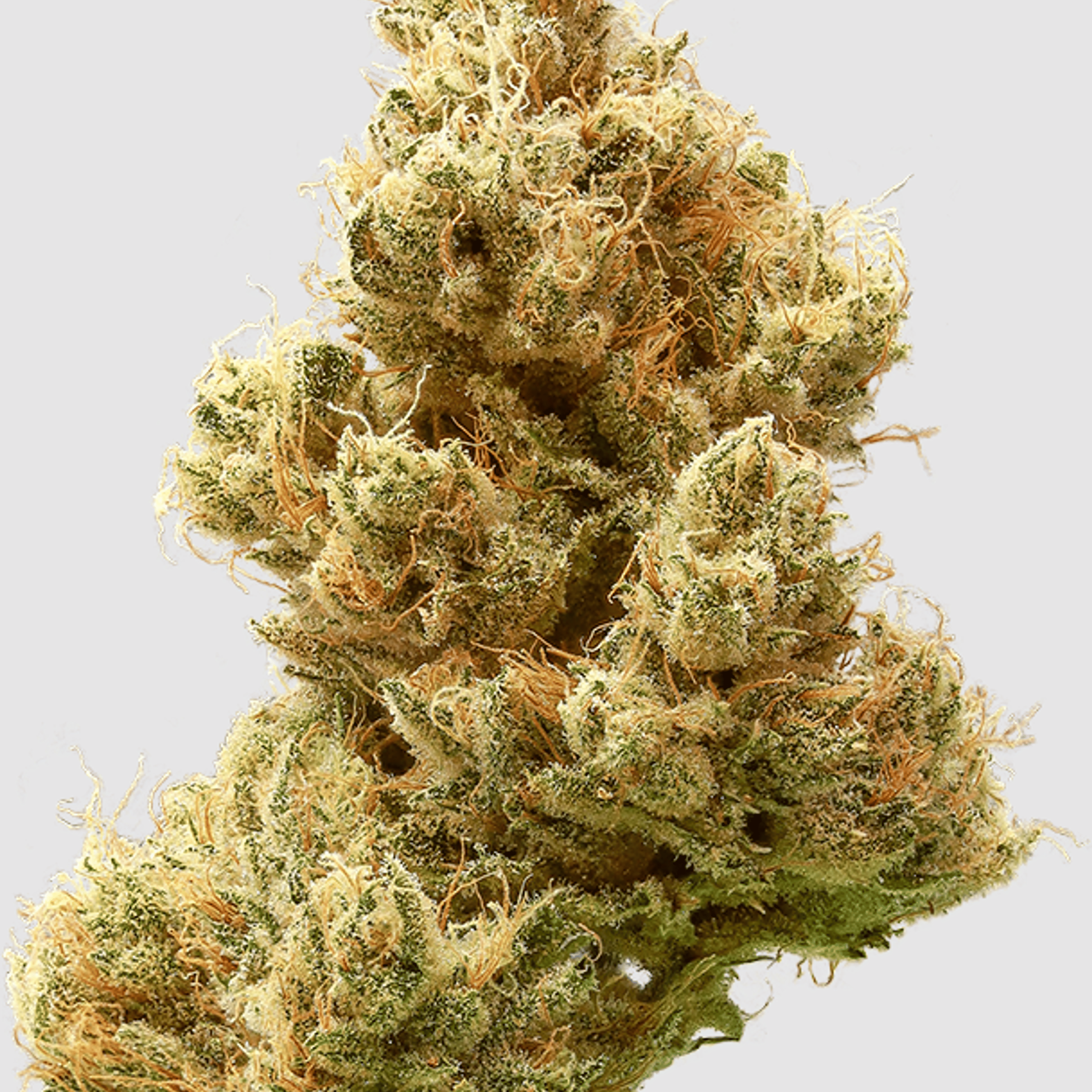 Banana OG - Flower - Heirbloom Legacy Flower - Eighth - $49.99 - Flower