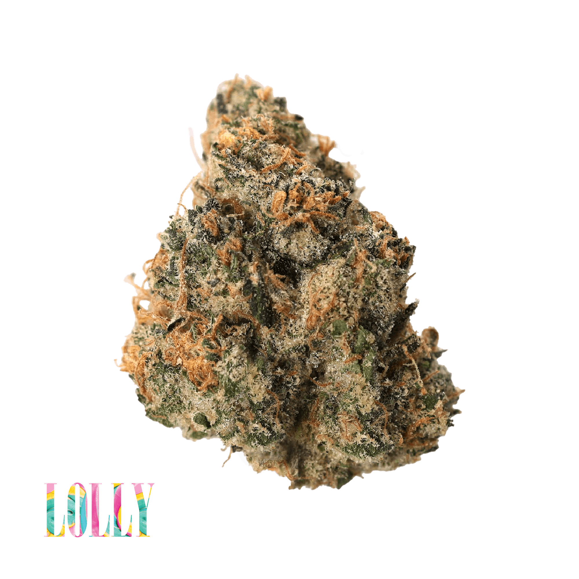 Traditional — Lolly
