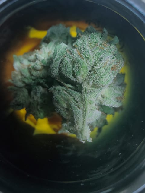 Sticky Status — Gorilla Glue 3.5g Jar