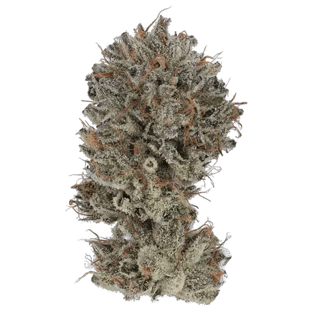 98' Octane (I) 28.28% - 3.5G *SPECIAL PRICING* - Cannabiotix - Eighth - $50 - Flower