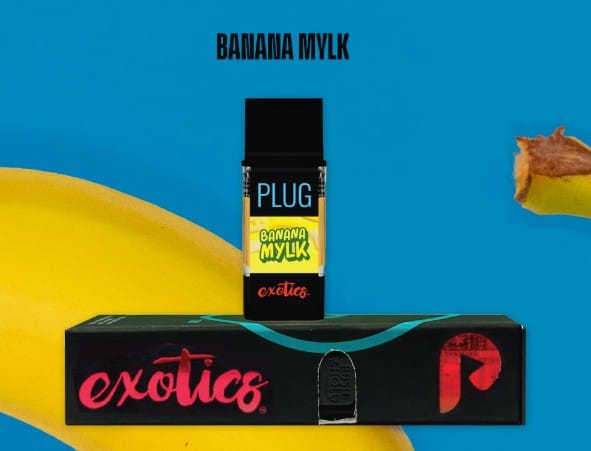 PlugPlay — Banana Mylk