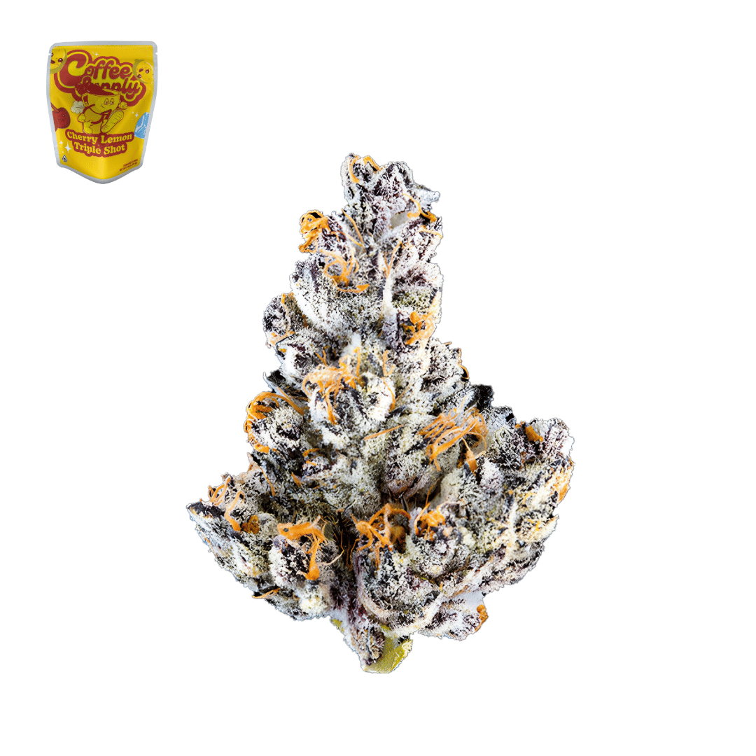 Coffee Supply - Cherry Lemon Triple Shot - 3.5g - Coffee Supply - Cherry Lemon Triple Shot - $29.99 - Indoor Flowers