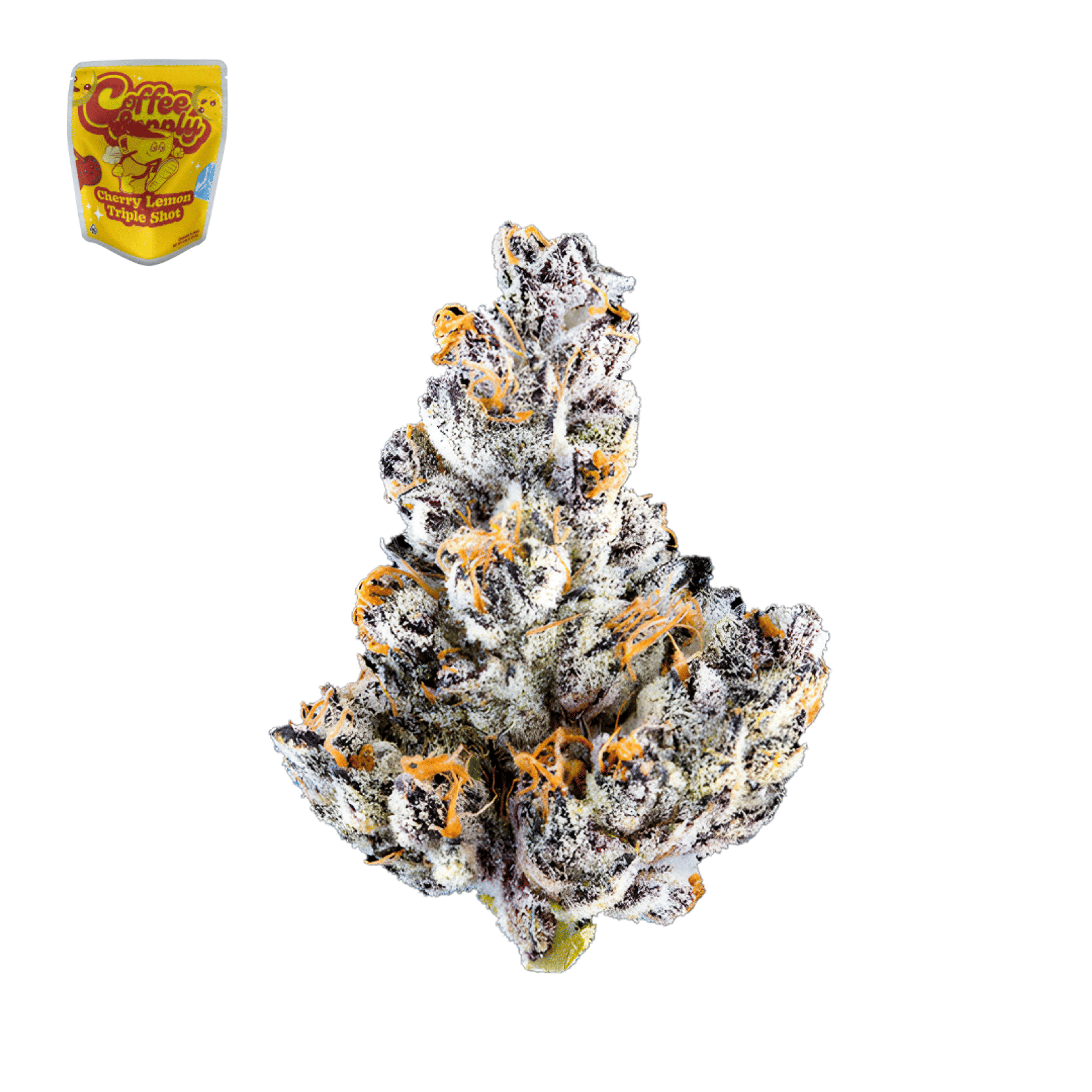Coffee Supply - Cherry Lemon Triple Shot - 3.5g - Coffee Supply - Cherry Lemon Triple Shot - $29.99 - Indoor Flowers