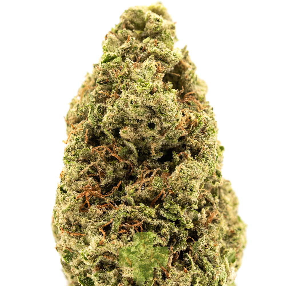 Rimrock Farms — Limon Gordo, Sg