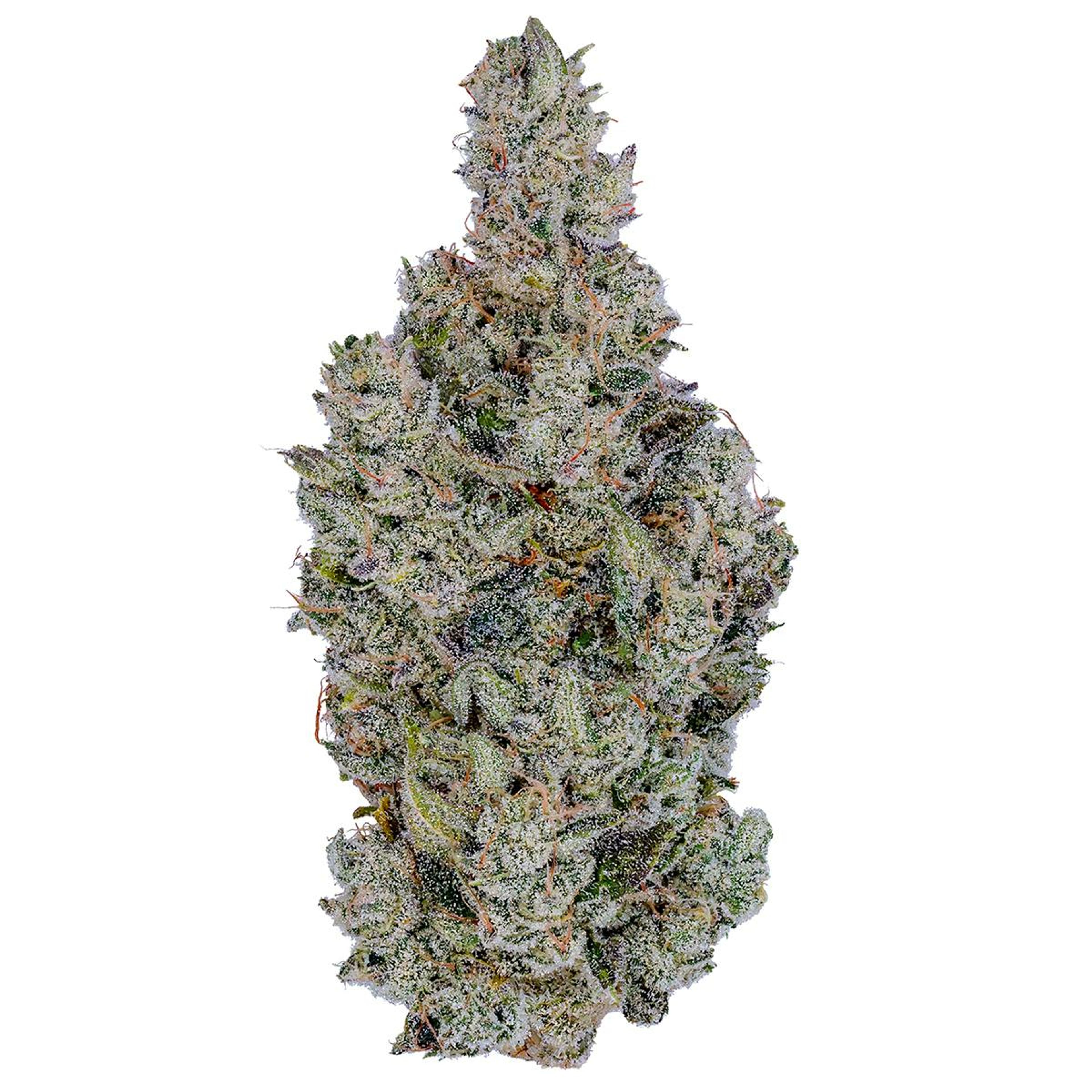 Holy Cow! Pre Roll 5 Pack - 2.5g - Fig Farms - - $35 - Pre-Rolls