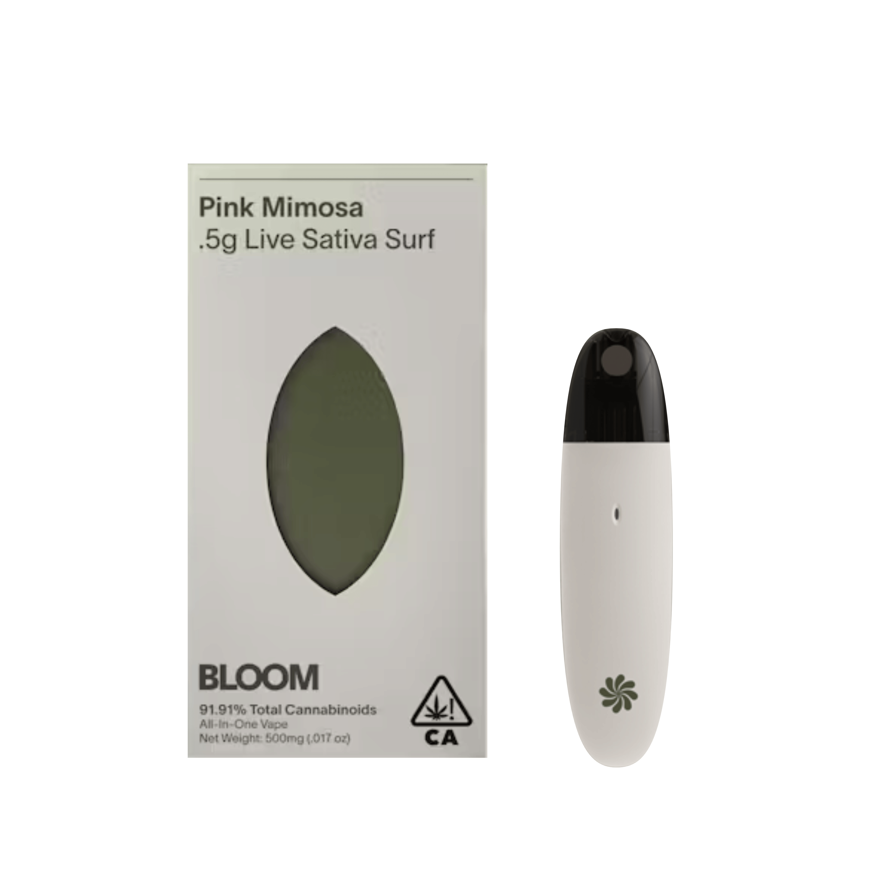 BLOOM — Pink Mimosa