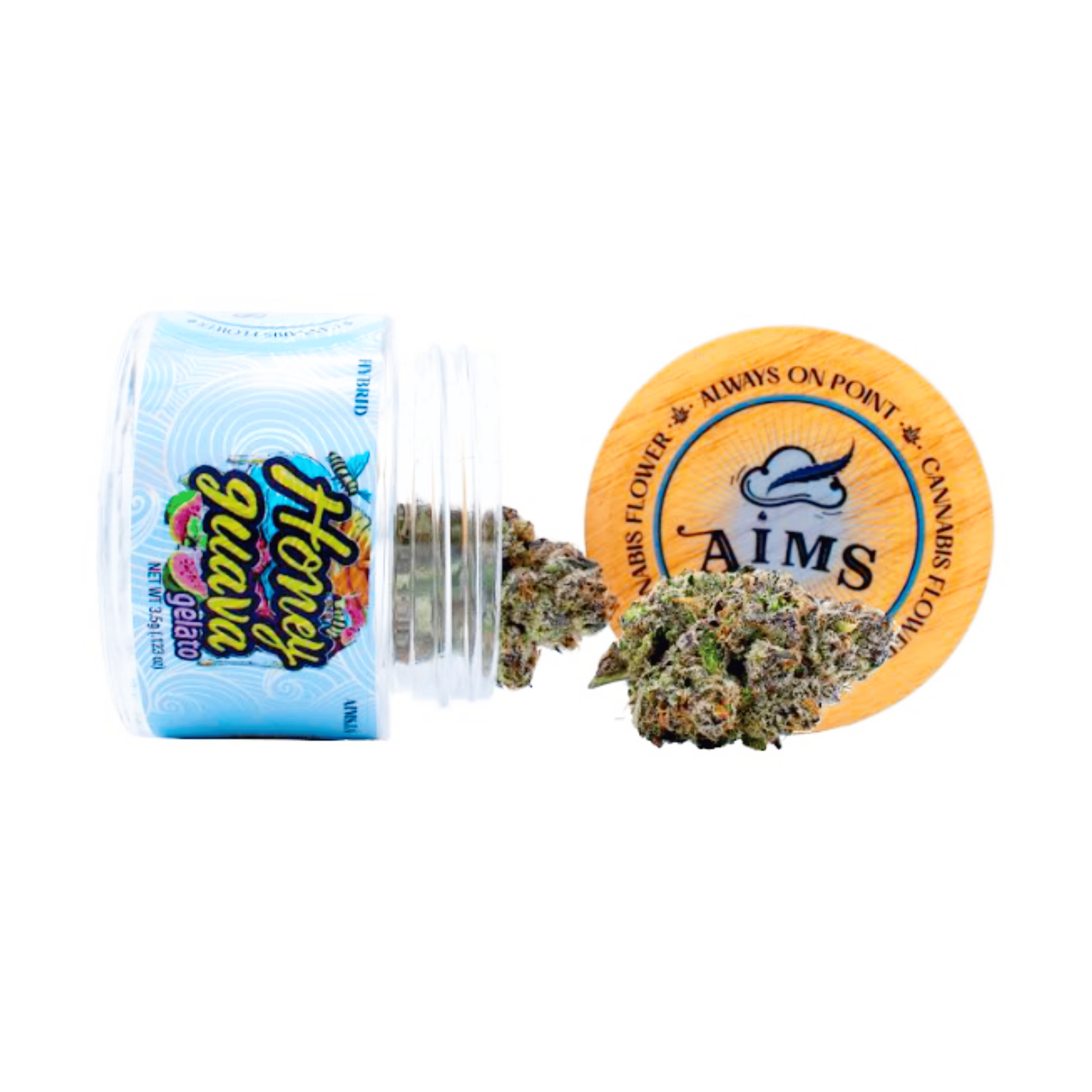 Honey Guava Gelato - 3.5 - Aims Horticulture -  - $40 - Flower