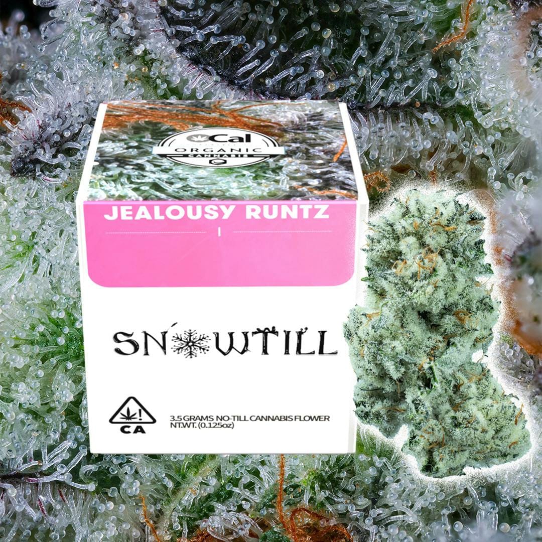 SNOWTILL - Jealousy Runtz (H) - Top Shelf Indoor - Snowtill - Jar - $60 - Flower