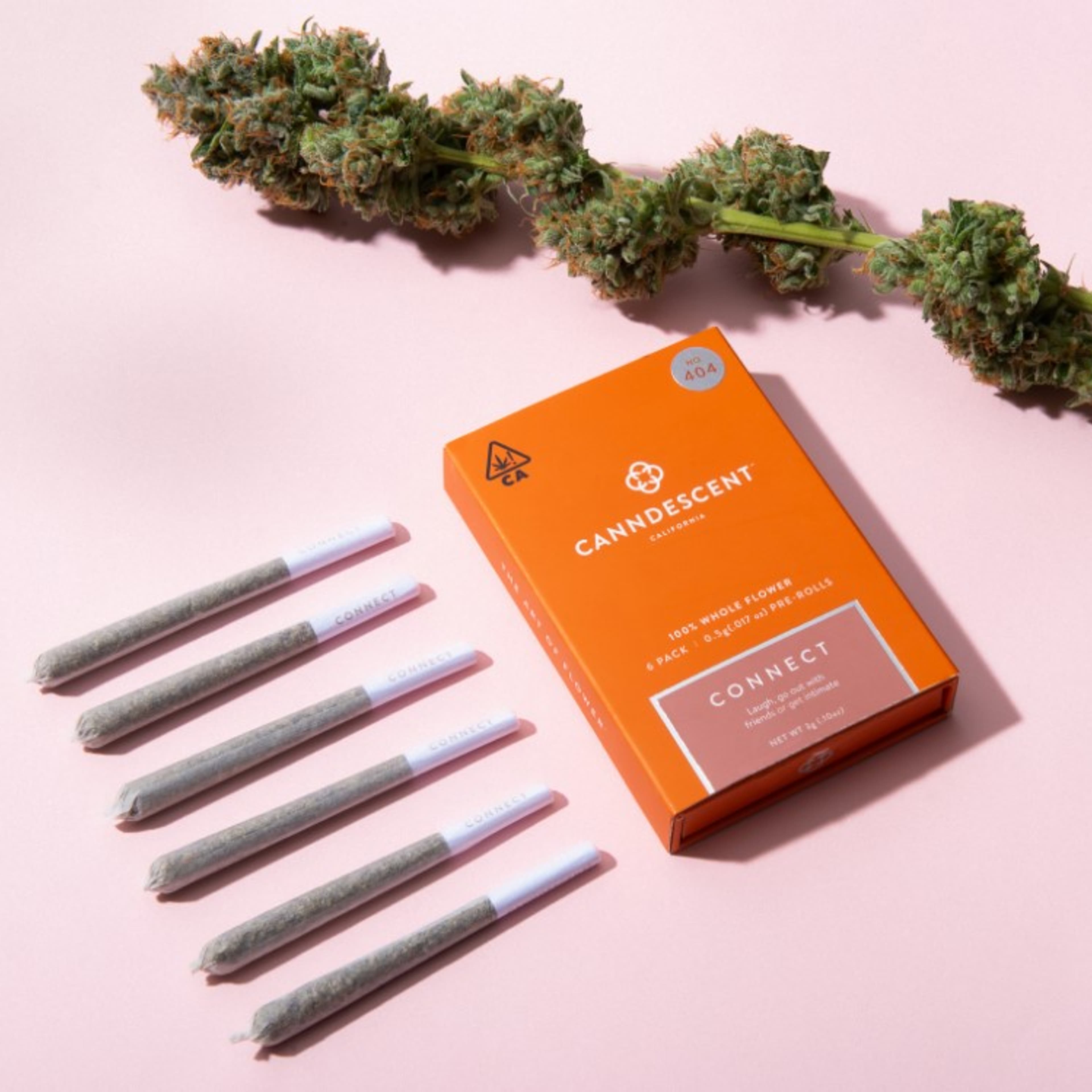 Connect Preroll Pack 3g - Canndescent - PR PK - $26 - Pre-Rolls