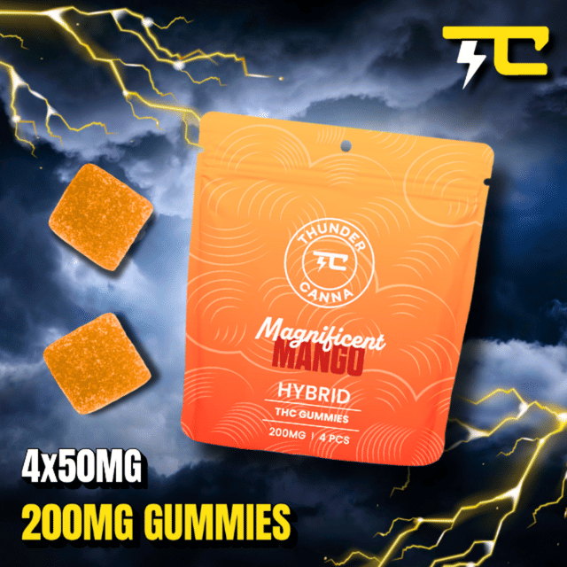 Gummies 200mg (4x50mg) - Magnificent Mango