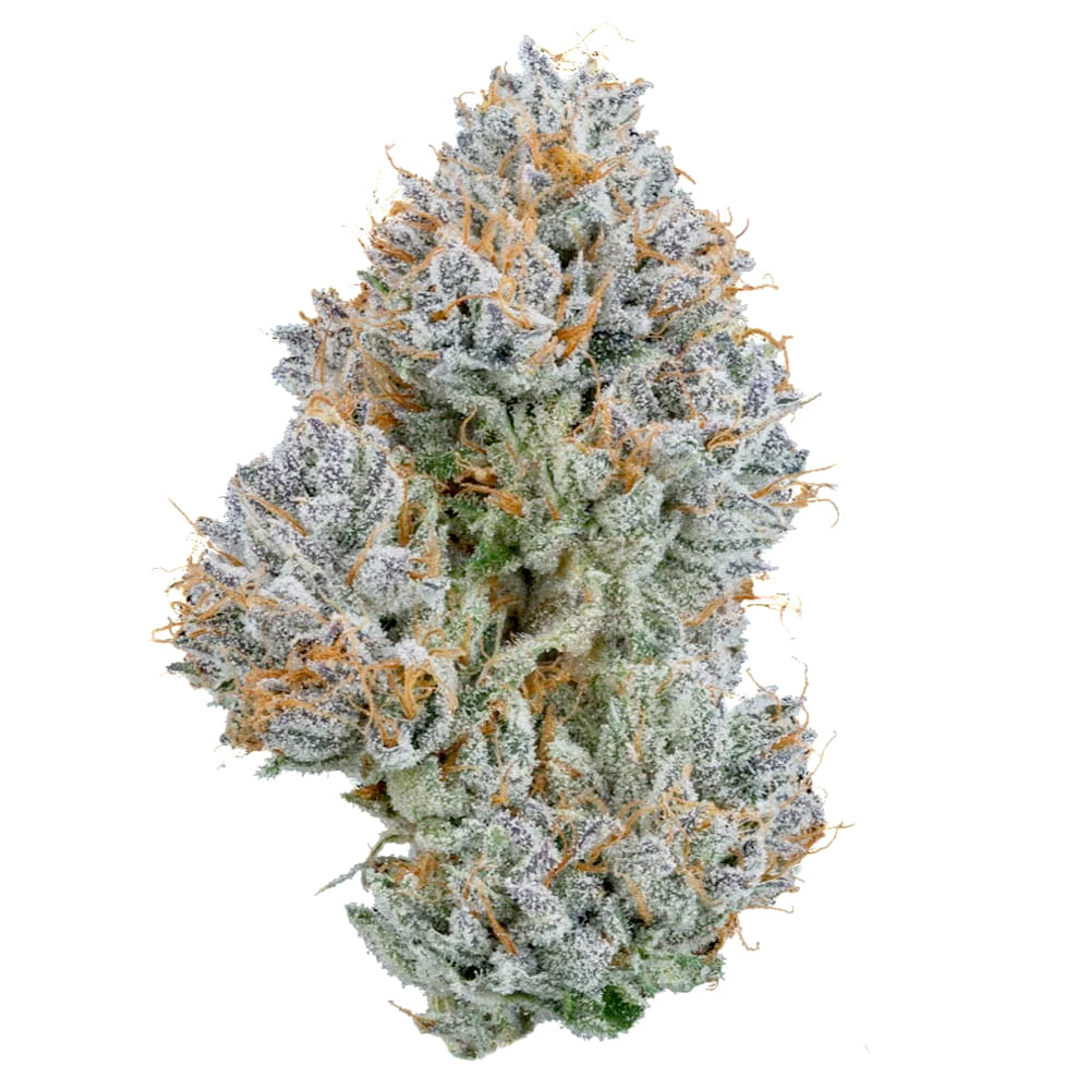 Kush Mountains (H) 26.78%  - 3.5G  *SPECIAL PRICING* - Cannabiotix - Eighth - $50 - Flower