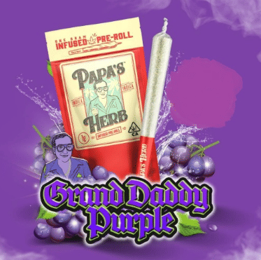 Infused Pre-Roll - Grand Daddy purple 1g - Papa's Herb -  - $12 - Pre-Roll