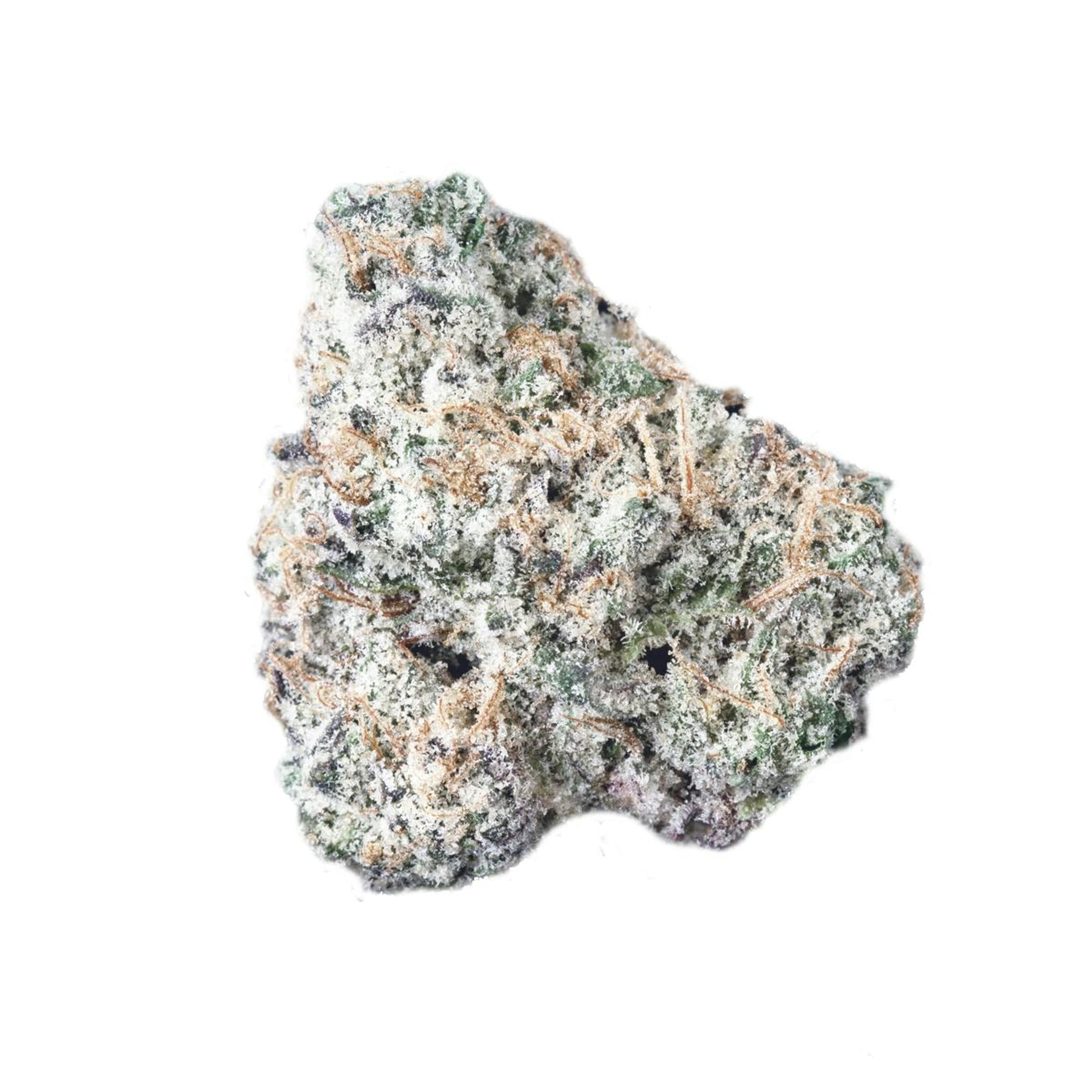 Orange Gelato 3.5g Infused - Lift Tickets - - $62 - Infused Flower