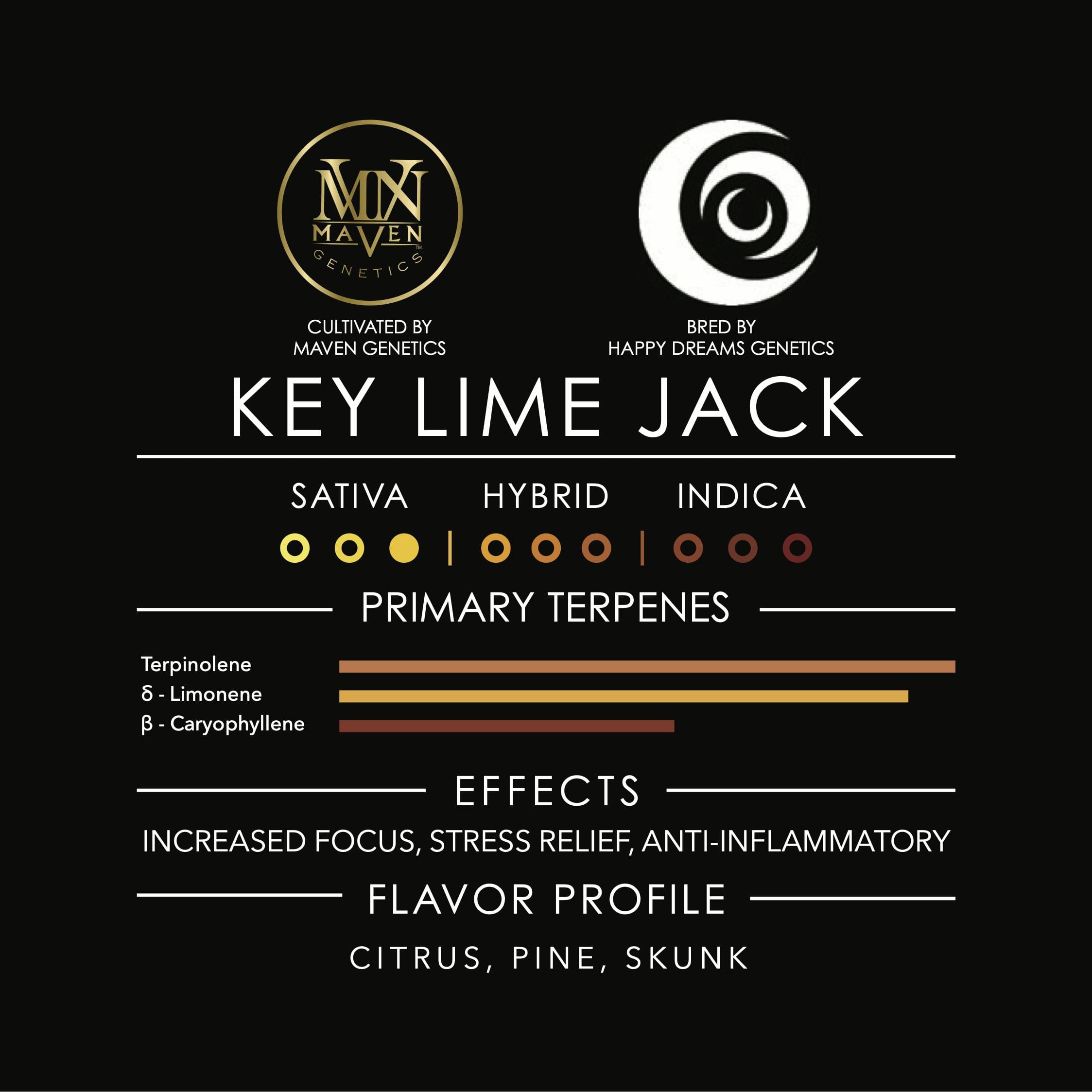 Key Lime Jack 3.5g - Maven Genetics -  - $39.61 - Flowers