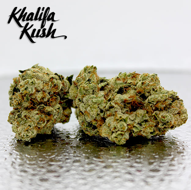 Khalifa Kush - Khalifa Kush - 3.5g - Khalifa Kush - KK 3.5g - $44.99 - Indoor Flowers