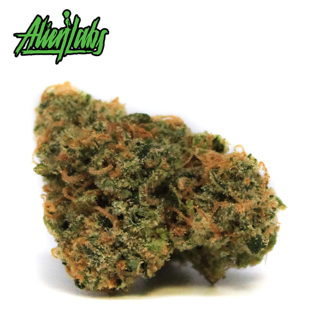 Alien Labs - XJ-13 - 3.5g - Alien Labs -  - $49.99 - Indoor Flowers