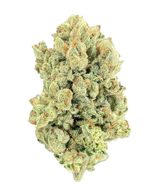 Hawaiian🍊Orange 🌳
