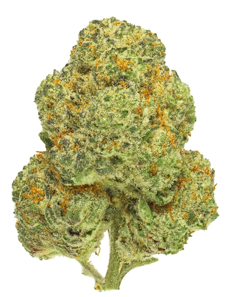 Mango Kush | Flower | 14g | Premium Smalls - Dubs Green Garden -  - $99.99 - Flowers