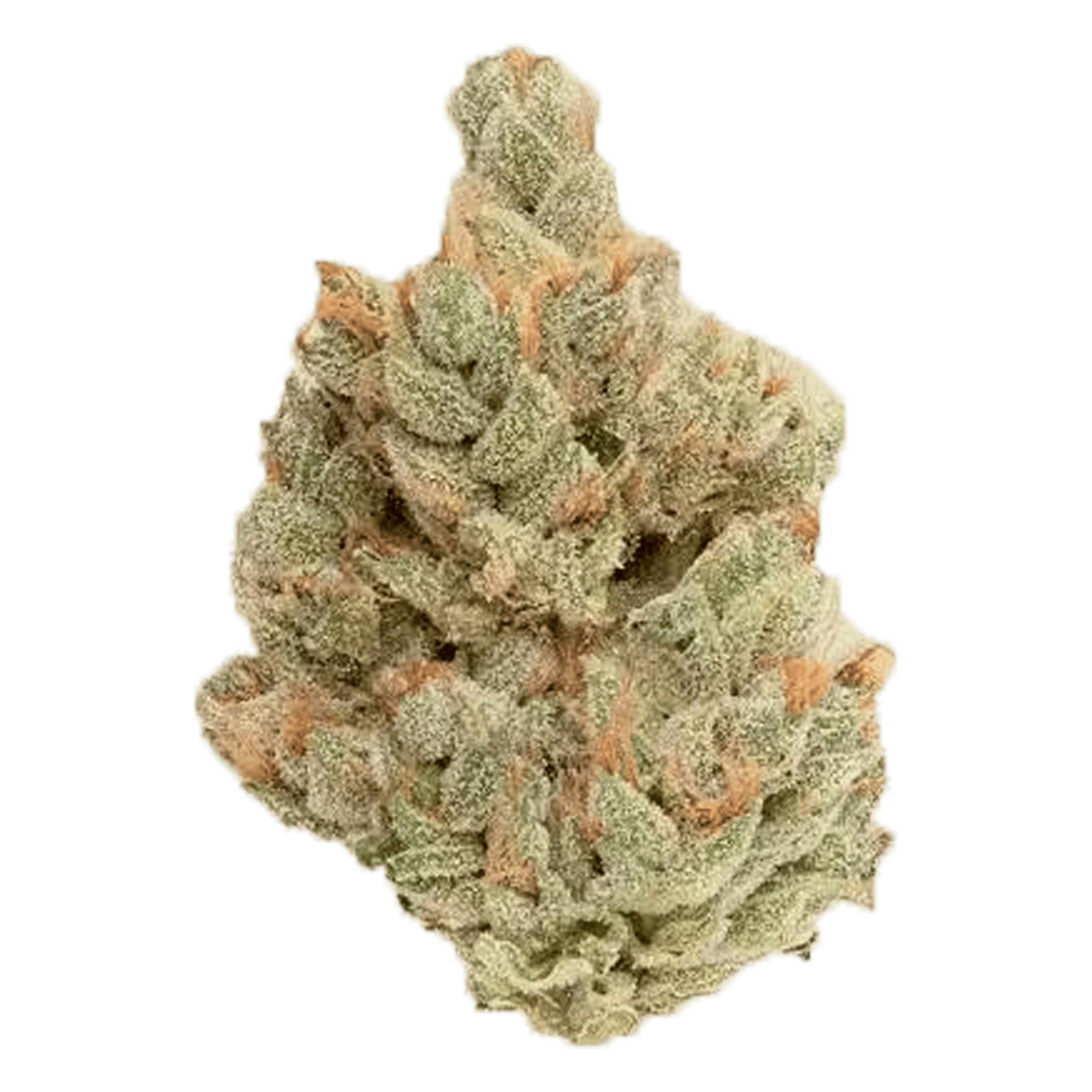 White Walker OG - Flower - CBX Cannabiotix - Eighth - $54.99 - Flower