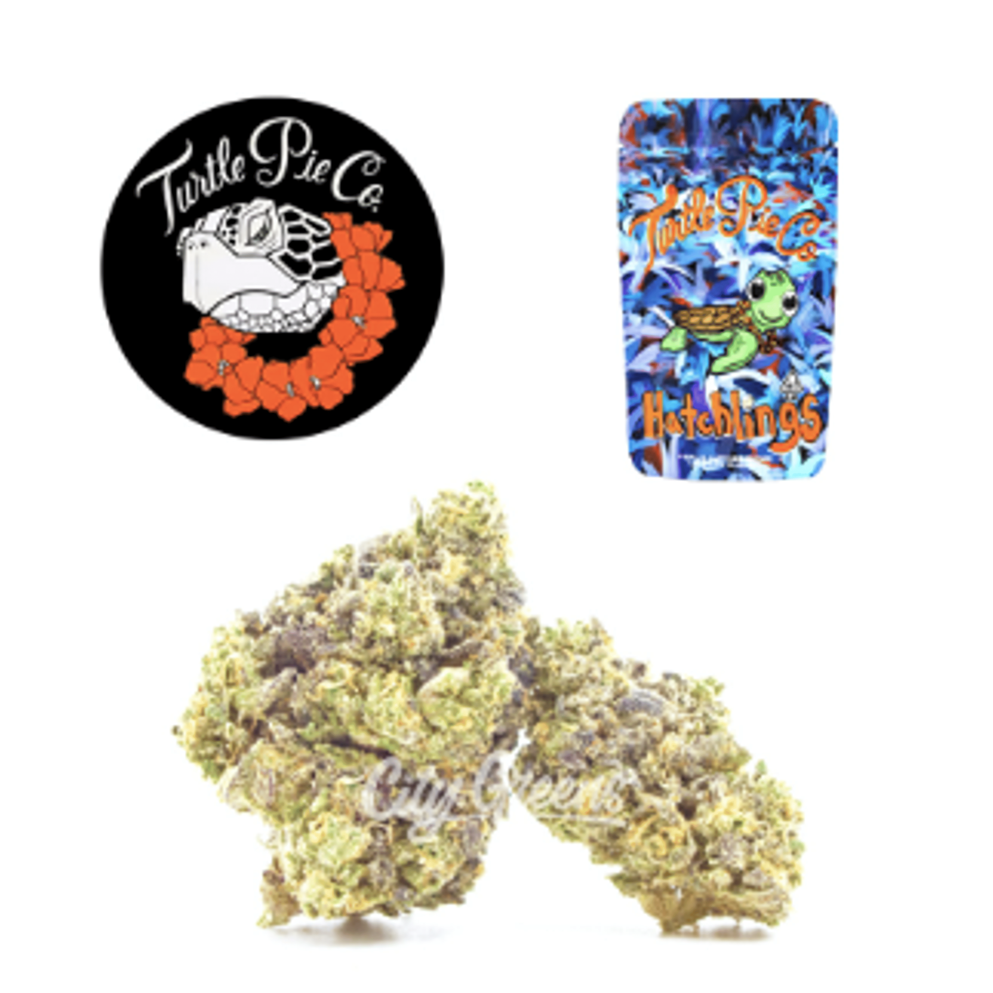 Original Sin 31.35% - 7G - Turtle Pie Co. - Original Sin (I) - $73.99 - Flower