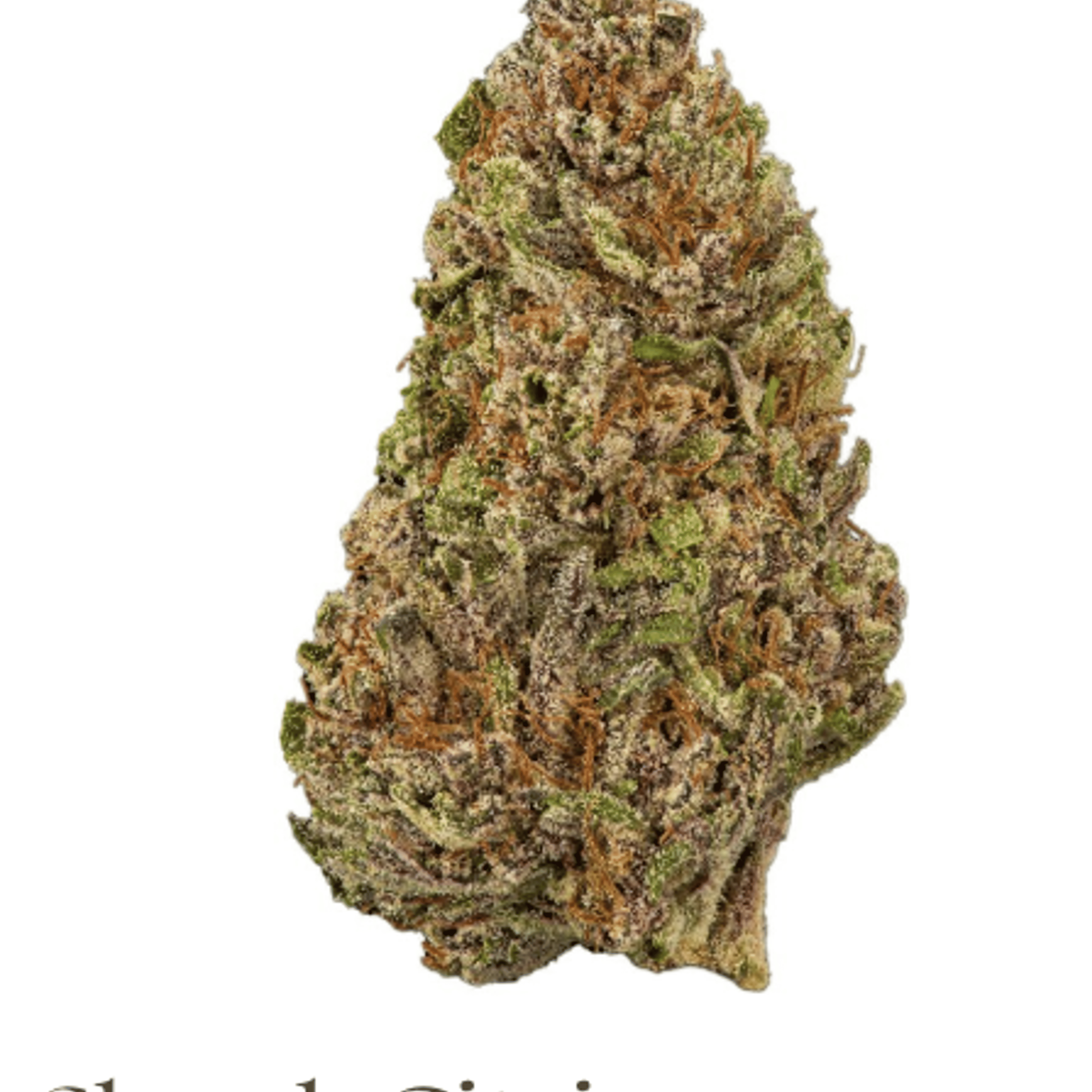 Skunk Citrine (SD) - Sun Roots Farm - eighth - $24 - Flowers