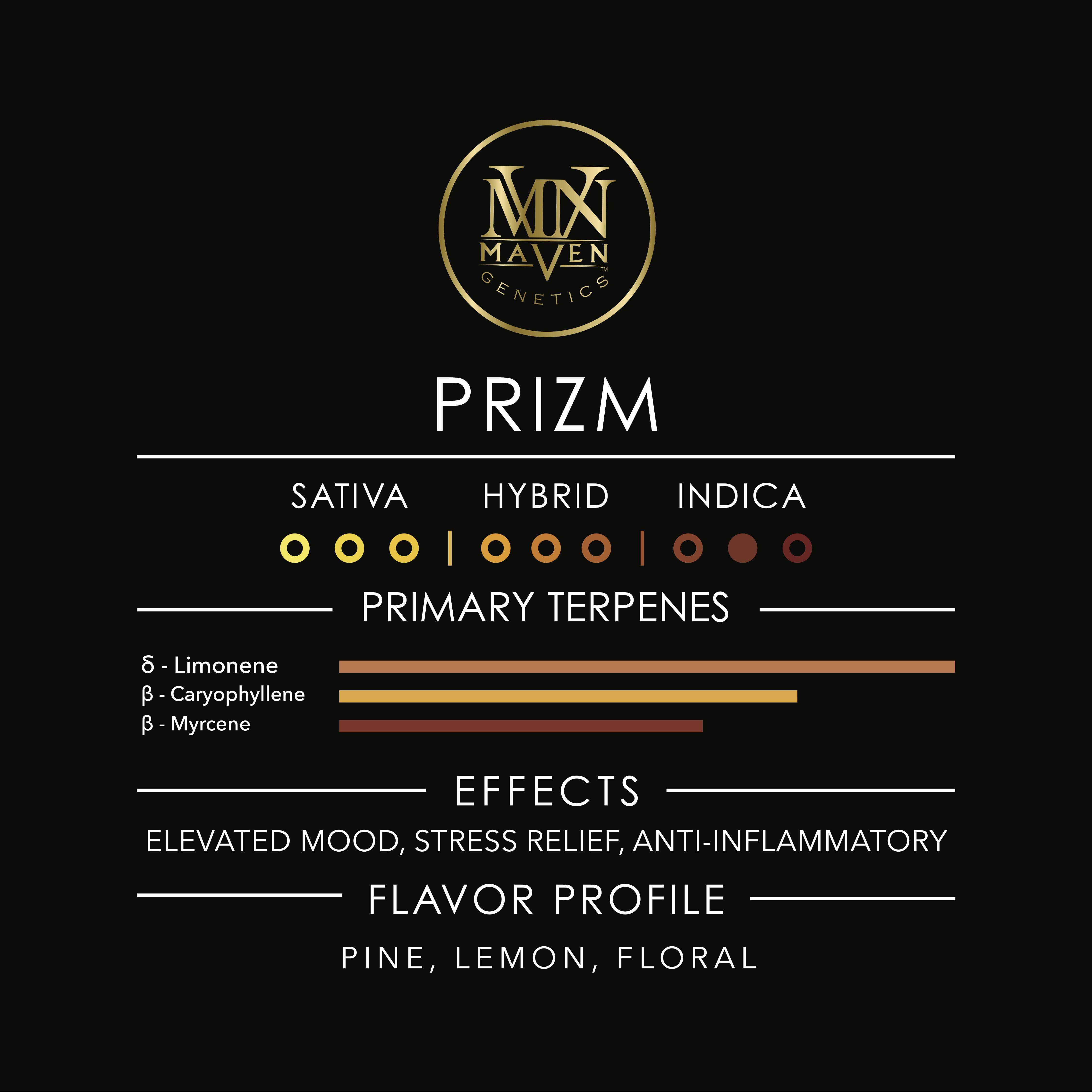 Maven Genetics — Prizm