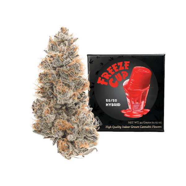 Team Elite Genetics — Freeze Cup