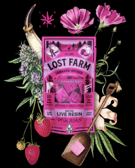 Strawberry x Pink Jesus - Lost Farm Chews - Kiva - Strawberry x Pink Jesus (S) - $19 - Edibles