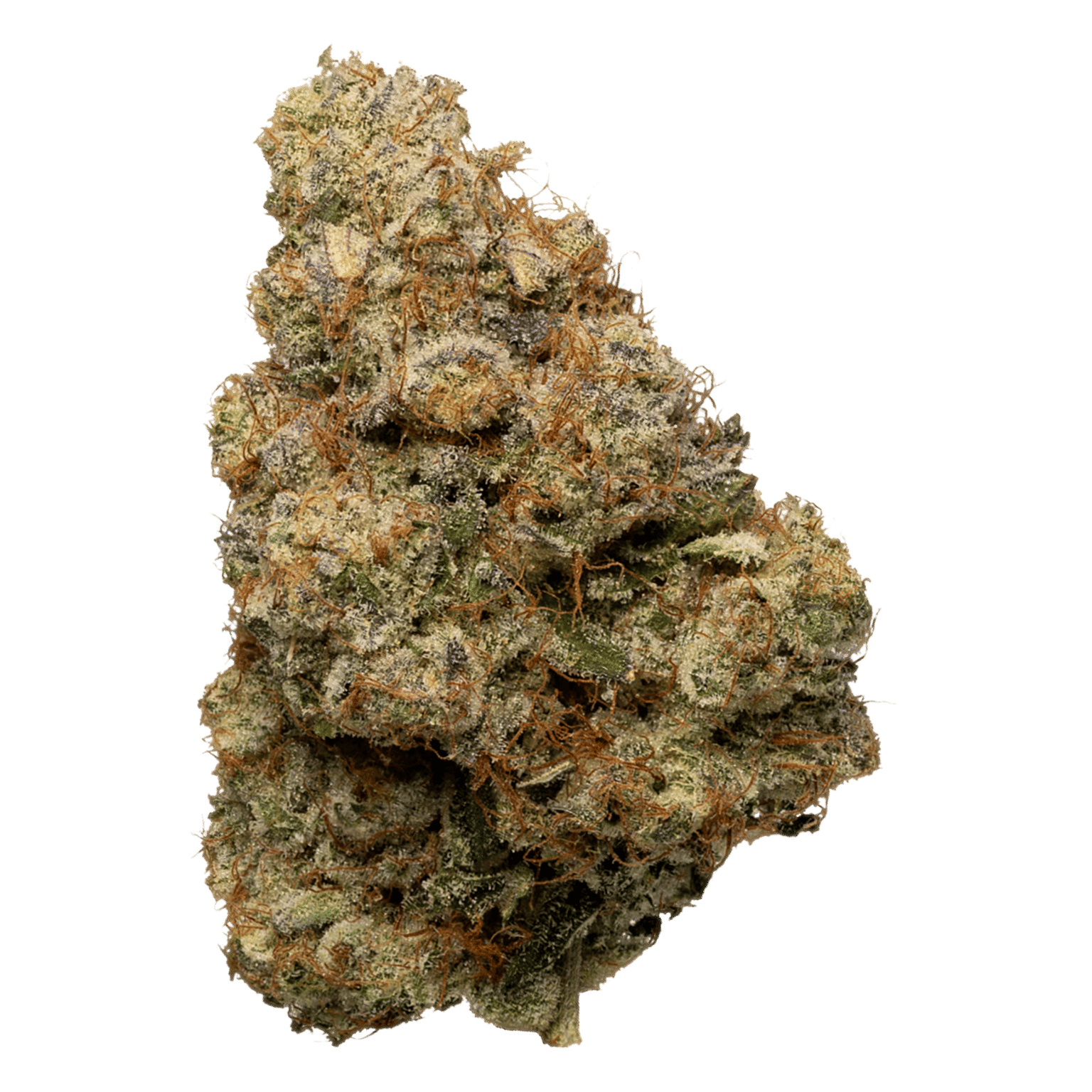 SLURTY 3 14G - QUIET KINGS -  - $33 - Flowers