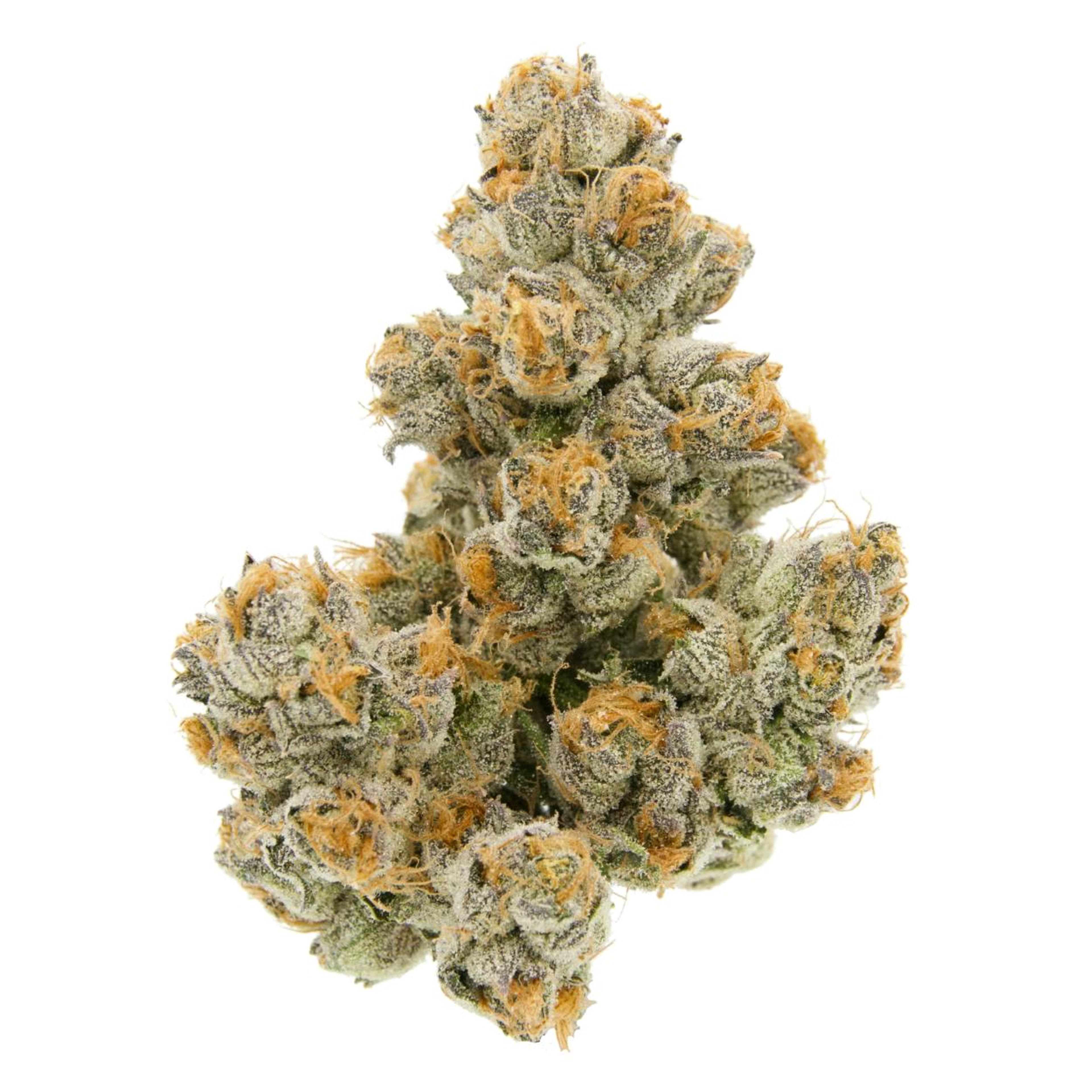 Tuscan Gelato - Jar - Indoor Flower - Sense - Eighth - $49.99 - Flower