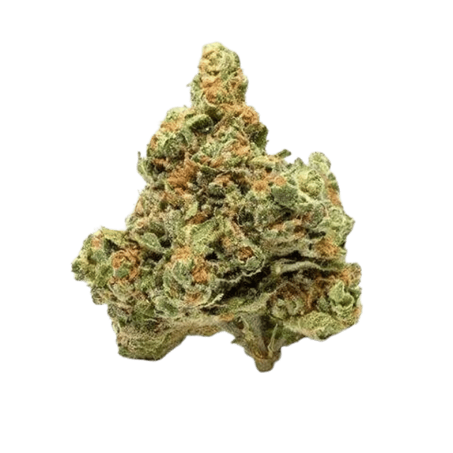 Bud Dynasty- 7g Flower - Skywalker OG