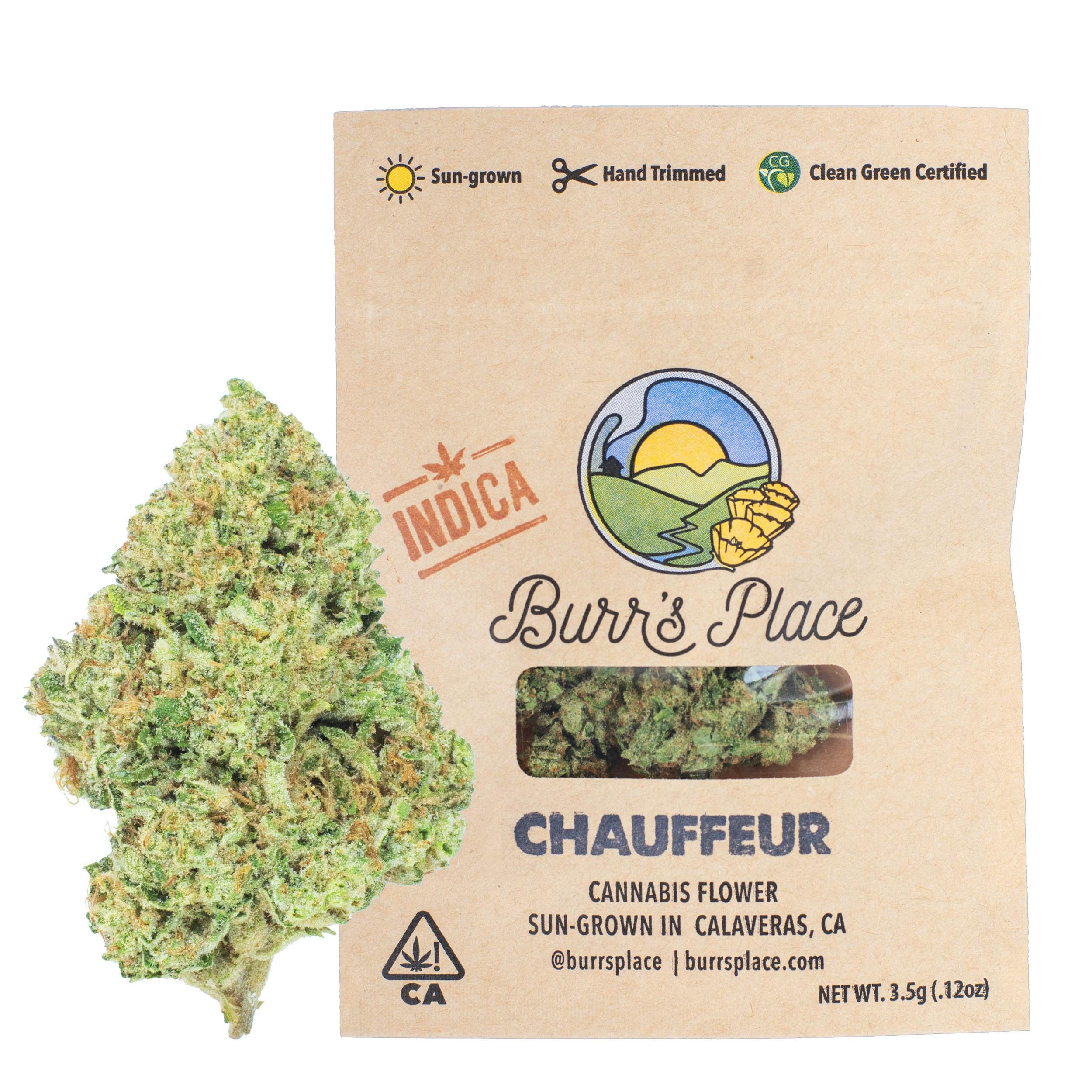 BURRS PLACE: Chauffeur - Bag