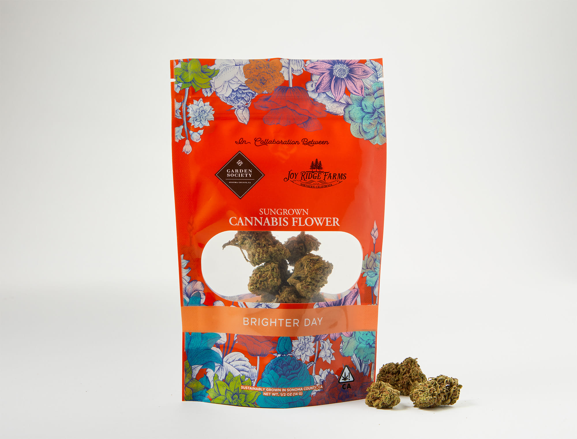 Garden Society — Key Lime Jack