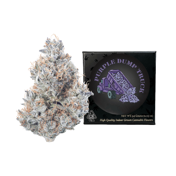 Team Elite Genetics — Purple Dump Truck