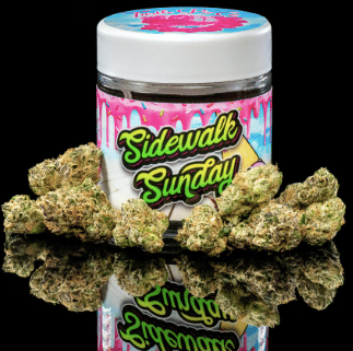 Turtle Pie Co. — Sidewalk Sunday (H)