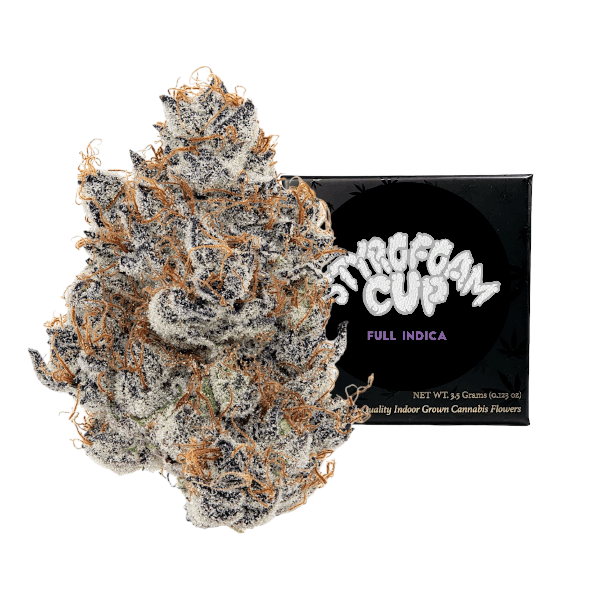 Team Elite Genetics — Styrofoam Cup 3.5G