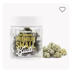 Claybourne: Mango Haze Small Bud Flw