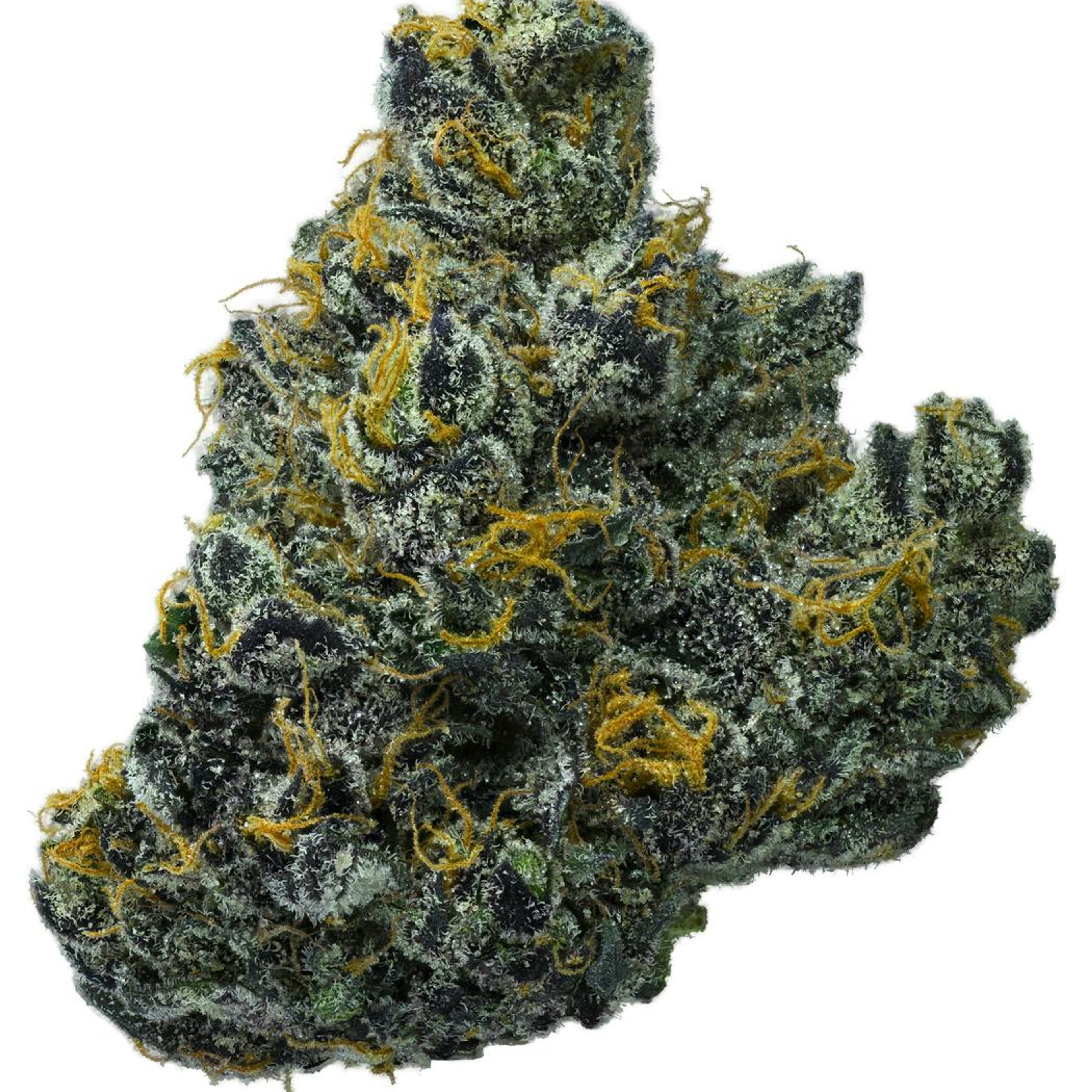 Raspberry Reaper (I/H) 32.1% - 3.5g - Smoken Promises - Eighth - $32 - Flower