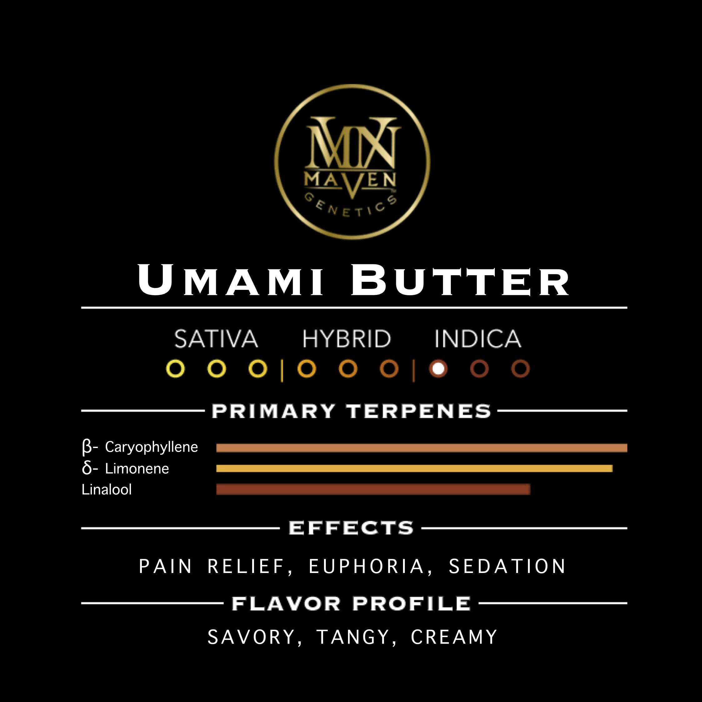 Maven | 3.5g - Umami Butter - Indica - Maven Genetics -  - $38 - Flowers