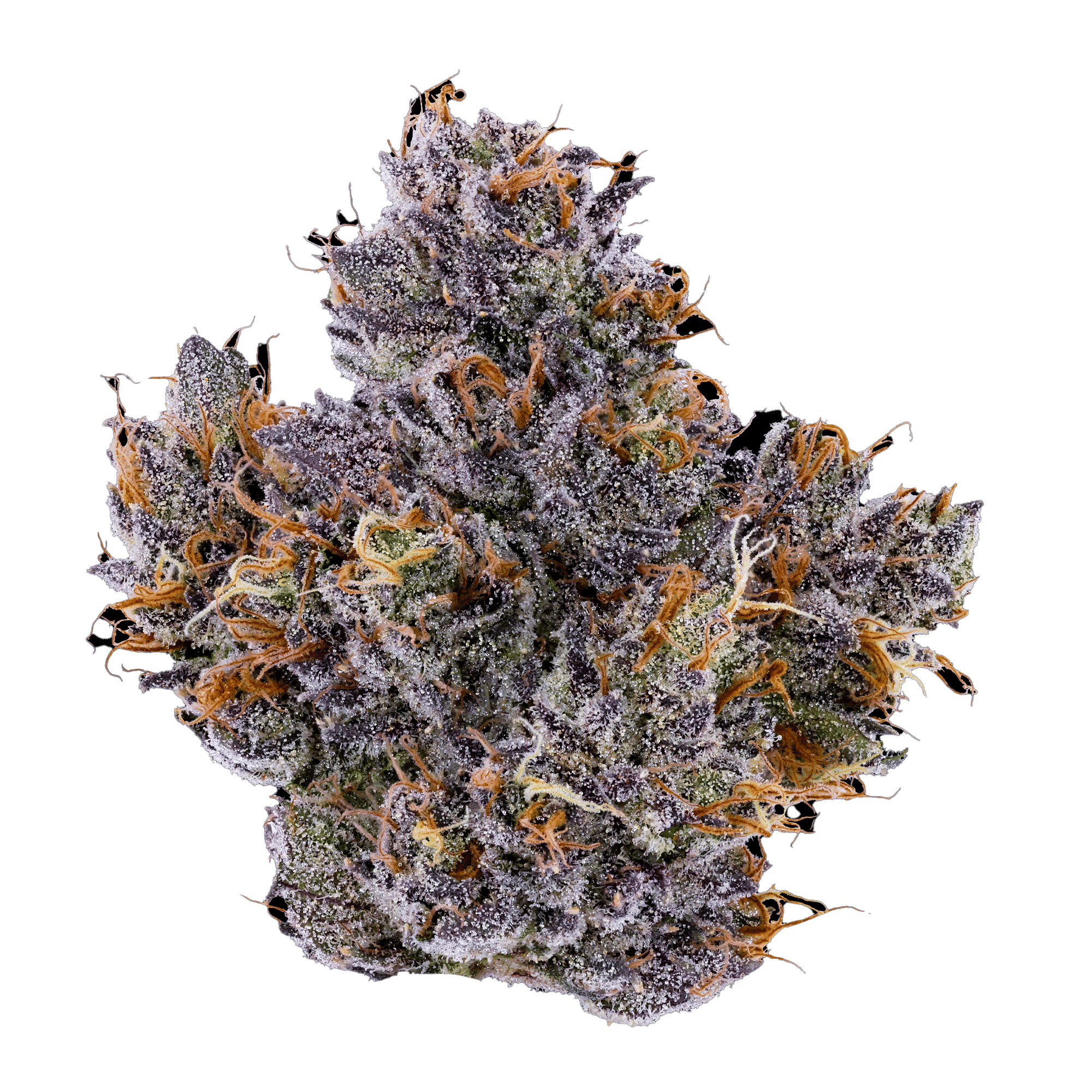 Rapper Weed - Jar - Indoor Flower - Fig Farms - Eighth - $49.99 - Flower