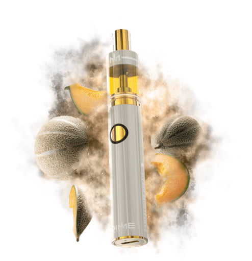 All-In-One 1g - Cantaloupe Dream