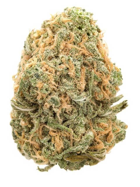 Bud Dynasty- 14g Top Shelf Flower -Blue Dream