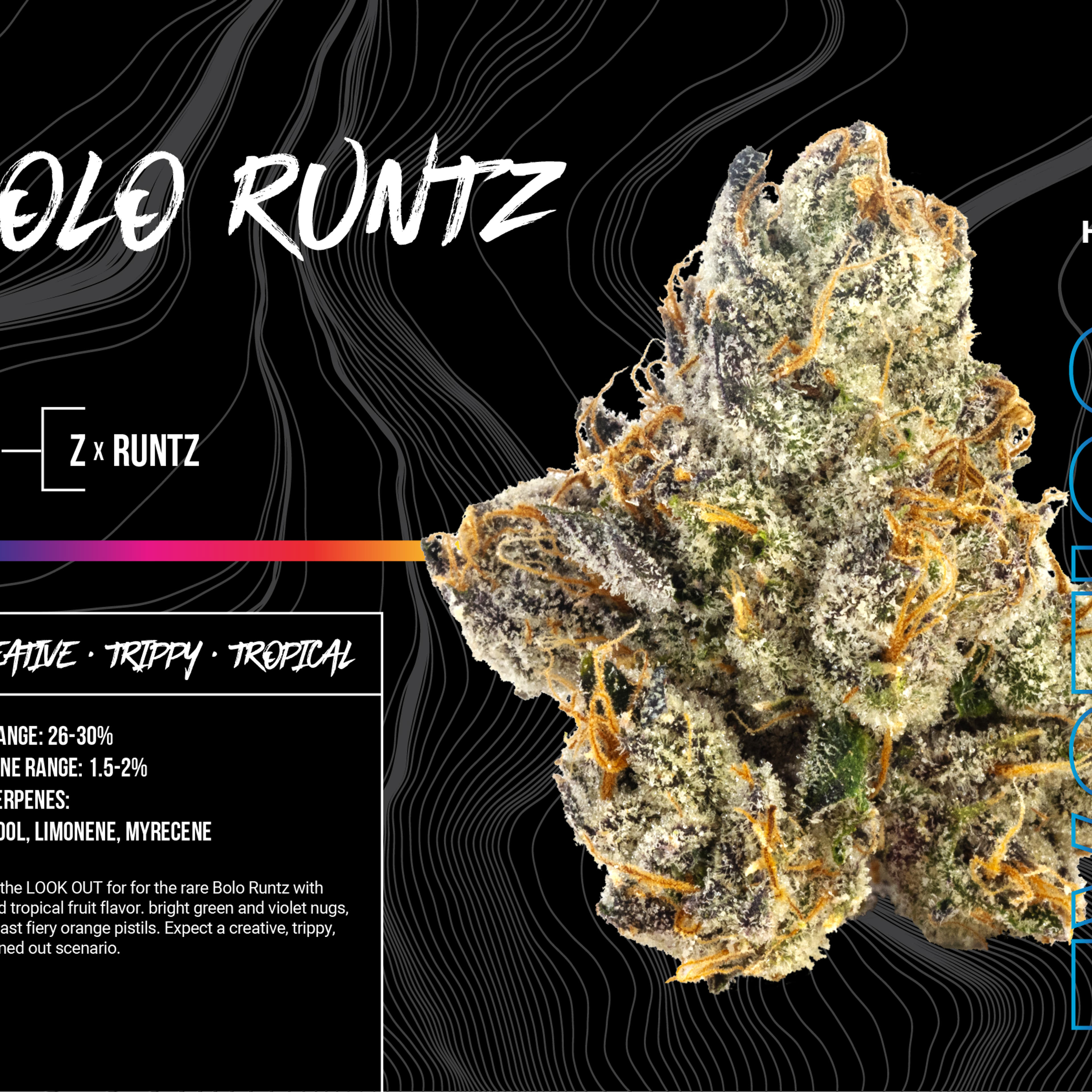 BOLO RUNTZ 3.5G - BOSKY - - $37.75 - Flowers